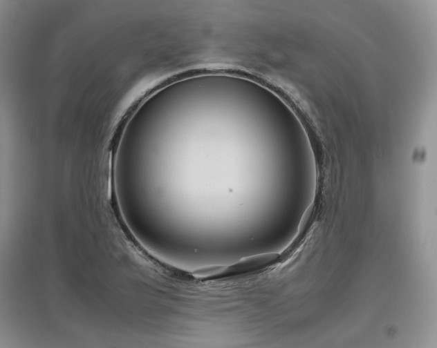 X0000097841175200803141201