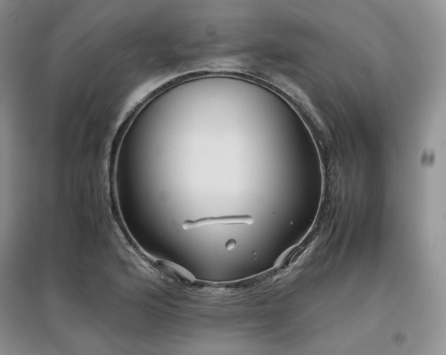 X0000097841176200803141201