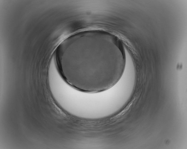 X0000097841177200803141201