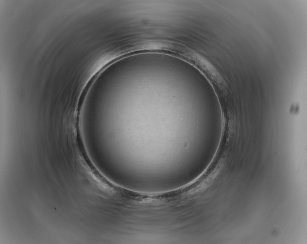 X0000097841178200803141201