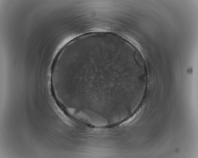 X0000097841179200803141201