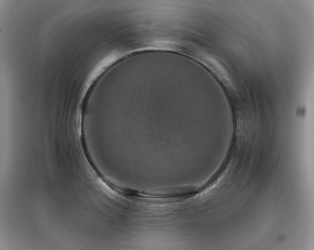 X0000097841180200803141201