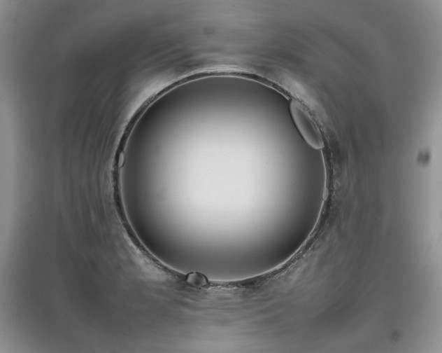 X0000097841181200803141201