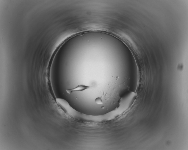 X0000097841182200803141201