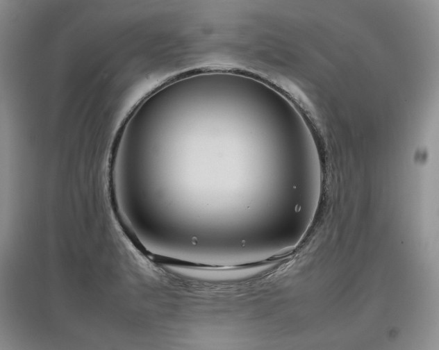 X0000097841183200803141201
