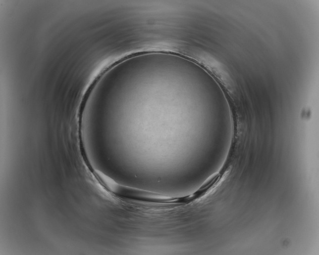 X0000097841184200803141201
