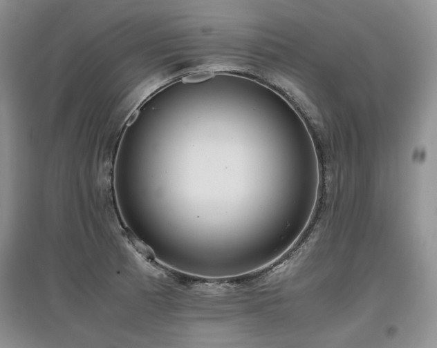 X0000097841185200803141201