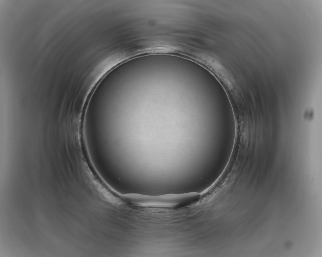 X0000097841186200803141201