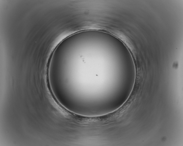 X0000097841187200803141201