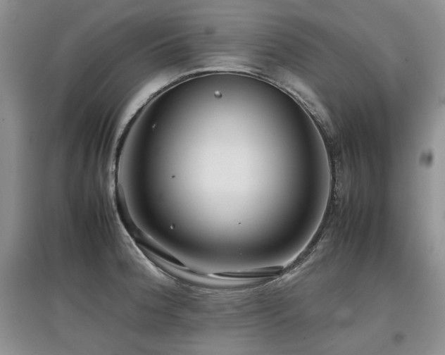 X0000097841188200803141201