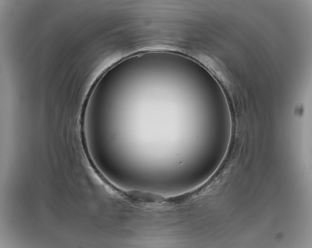 X0000097841189200803141201