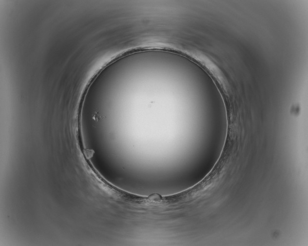 X0000097841191200803141201