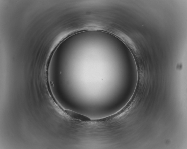 X0000097841192200803141201