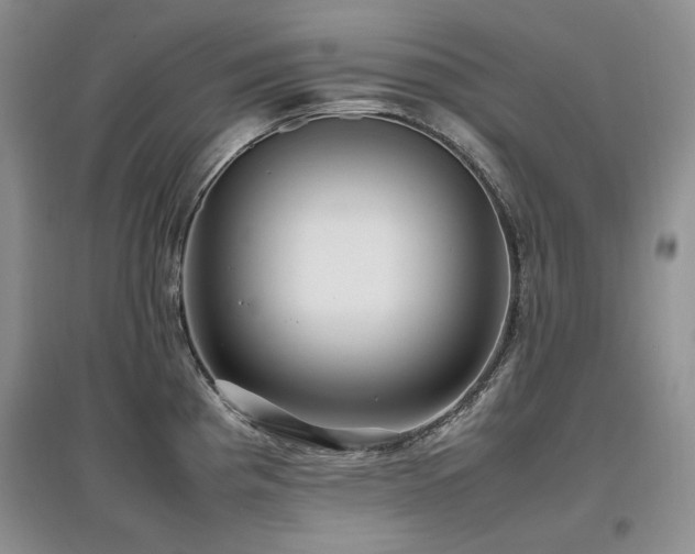 X0000097841193200803141201