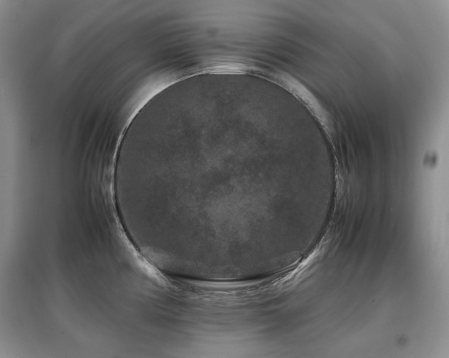 X0000097841194200803141201