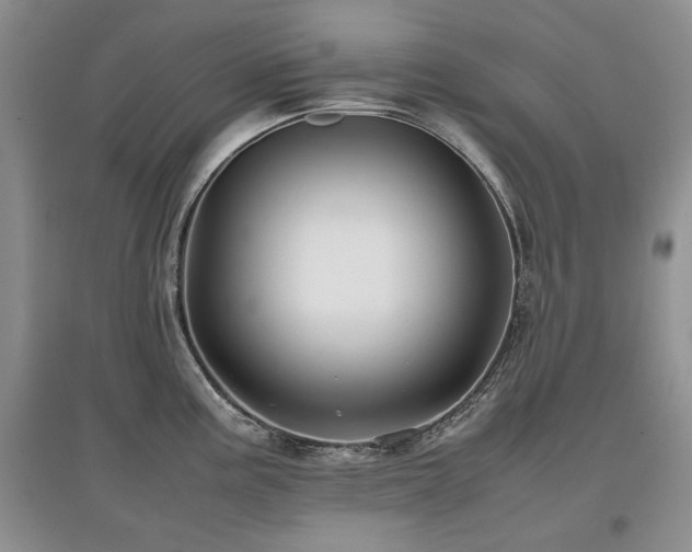X0000097841195200803141201
