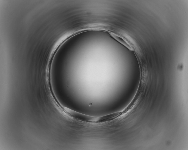 X0000097841196200803141201