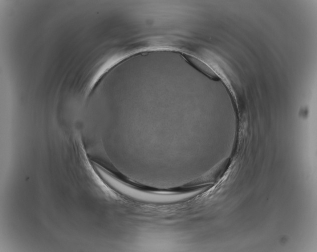 X0000097841197200803141201