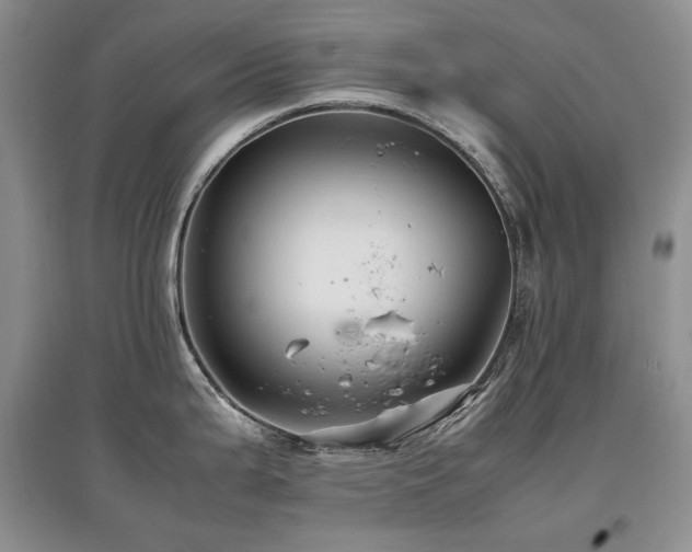 X0000097841199200803141201