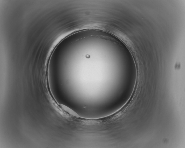 X0000097841200200803141201