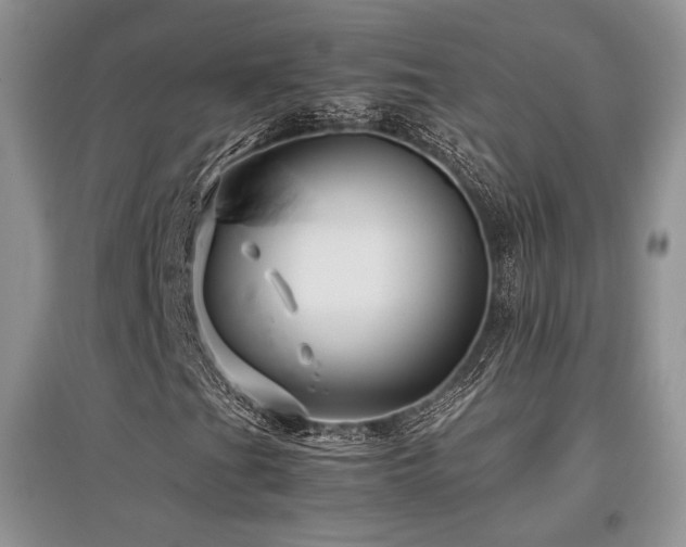 X0000097841201200803141200