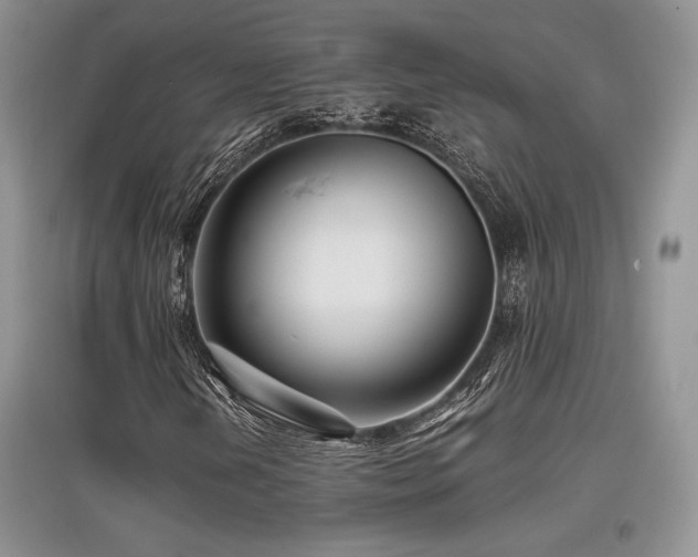 X0000097841202200803141200