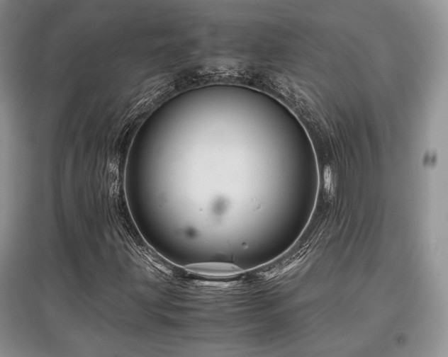 X0000097841203200803141200