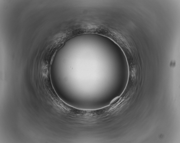 X0000097841204200803141200