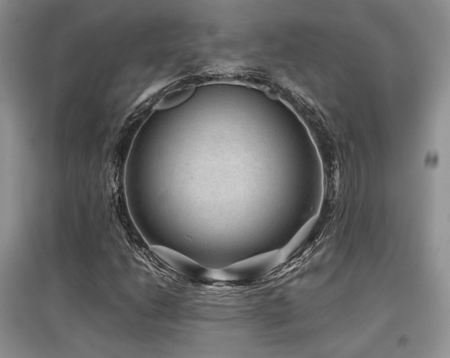 X0000097841206200803141200