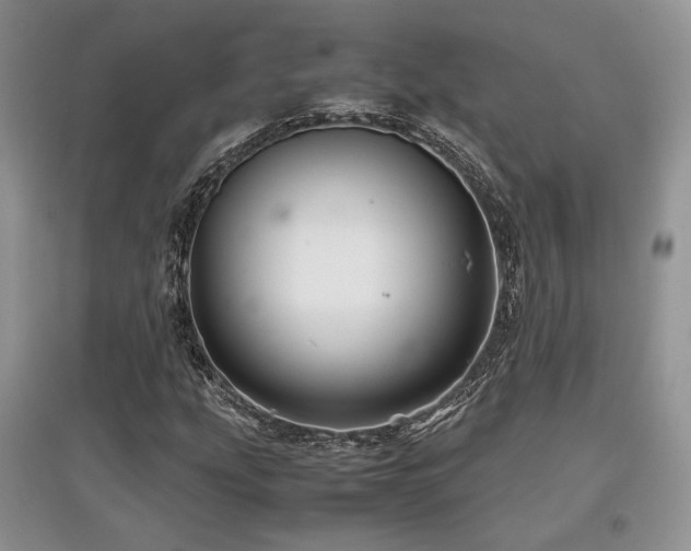 X0000097841207200803141200