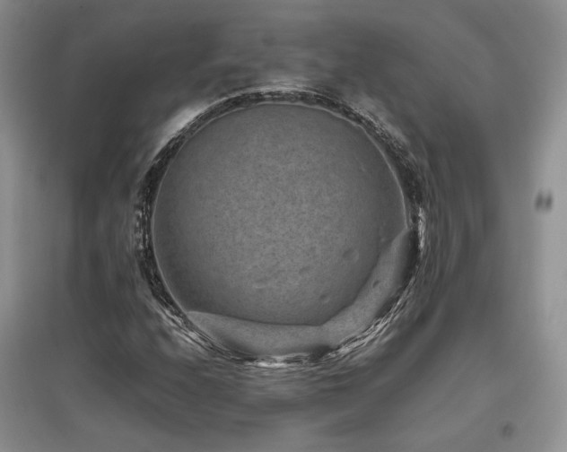 X0000097841208200803141200