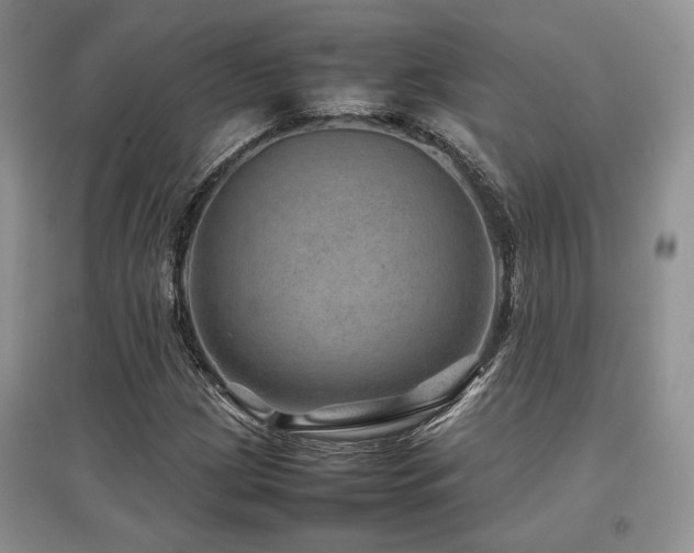 X0000097841209200803141200