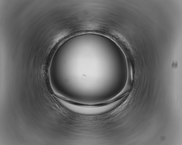 X0000097841210200803141200