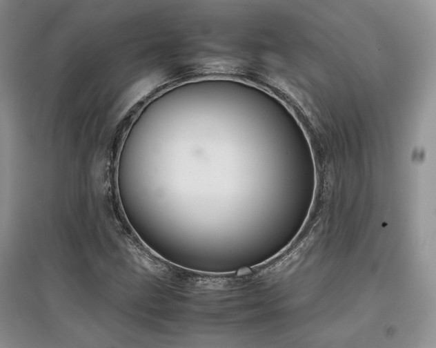 X0000097841211200803141200