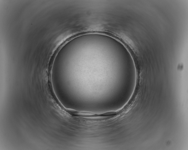 X0000097841212200803141200