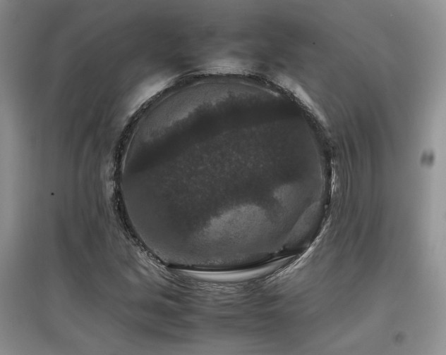 X0000097841213200803141200