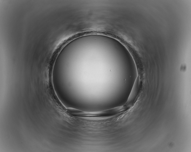 X0000097841214200803141200