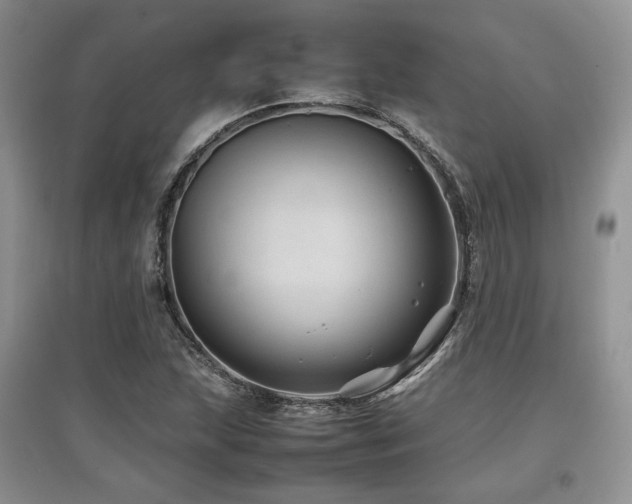 X0000097841215200803141200