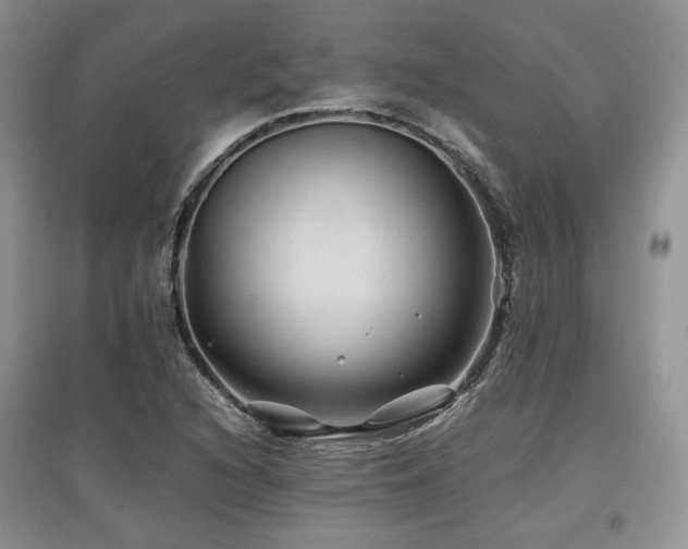 X0000097841216200803141200