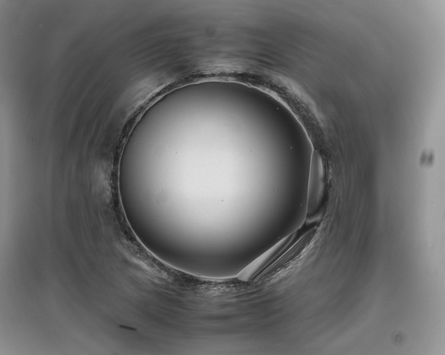 X0000097841217200803141200