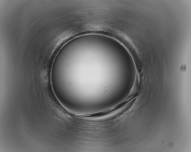 X0000097841218200803141200
