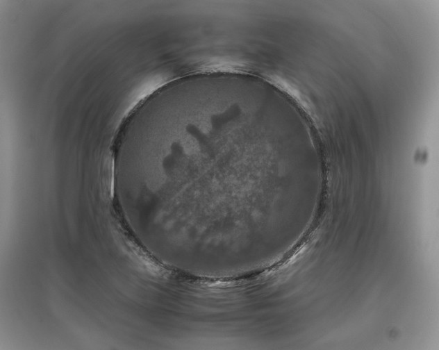 X0000097841219200803141200