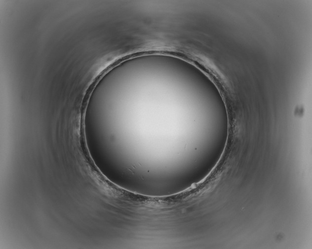 X0000097841220200803141200