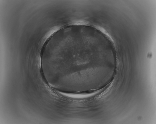 X0000097841221200803141200