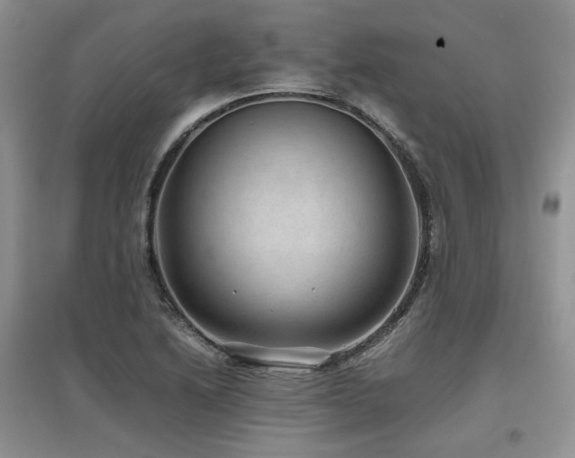 X0000097841222200803141200