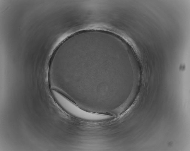 X0000097841224200803141200