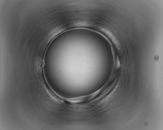 X0000097841225200803141200