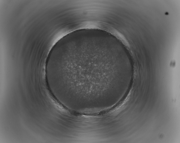 X0000097841226200803141200