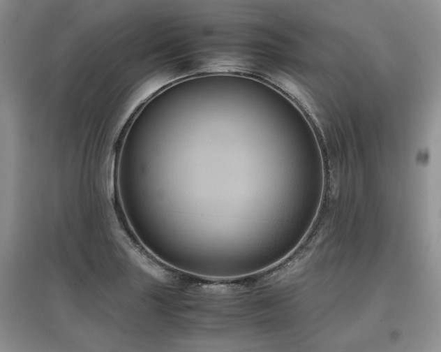 X0000097841227200803141200
