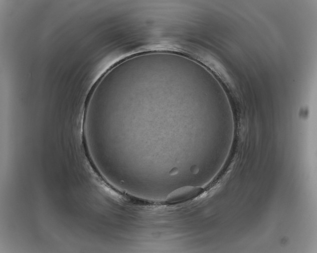 X0000097841228200803141200